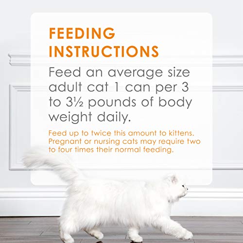 Purina Fancy Feast Grain Free Pate Wet Cat Food Variety Pack, Poultry & Beef Collection