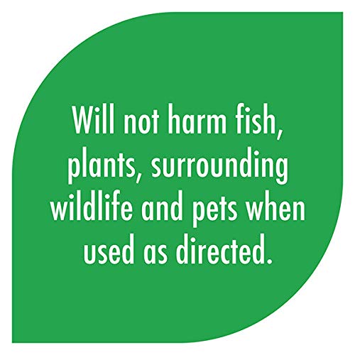 API POND ALGAEFIX Algae Control 16-Ounce Bottle (169B)