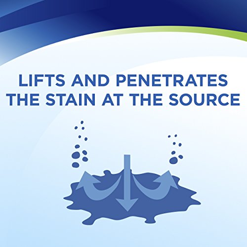 Woolite INSTAclean Permanent Pet Stain Remover, 22oz (Pack of 2), 21809