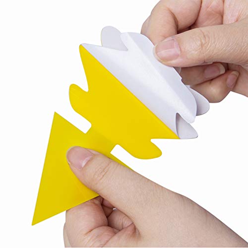 12 Pcs Fruit Fly Sticky Traps, Fungus Gnat Traps Killer Insect Trap for Plants Kitchen