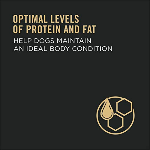 Purina Pro Plan With Probiotics, High Protein, Digestive Health Dry Dog Food, Shredded