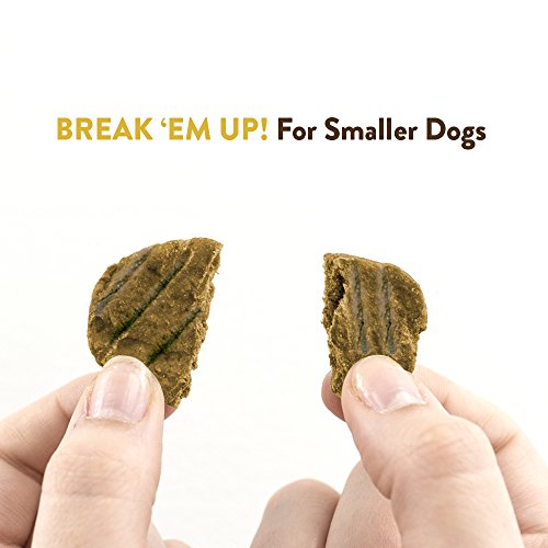 Rachael Ray Nutrish Burger Bites Real Meat Dog Treats, Turkey Burger Recipe, 12 Ounce