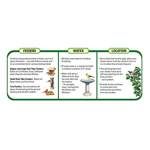 Wagner's 62051 Nyjer Seed Wild Bird Food, 5-Pound Bag