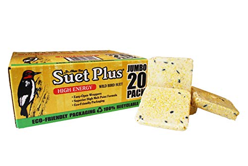 St. Albans Bay Suet Plus High Energy Suet Cakes, 20 Pack of 11 oz. Suet Cakes