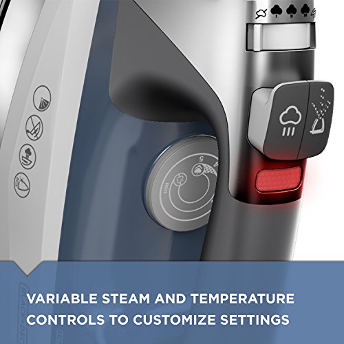 BLACK+DECKER D3030 Allure Professional Steam Iron, Gray/Blue