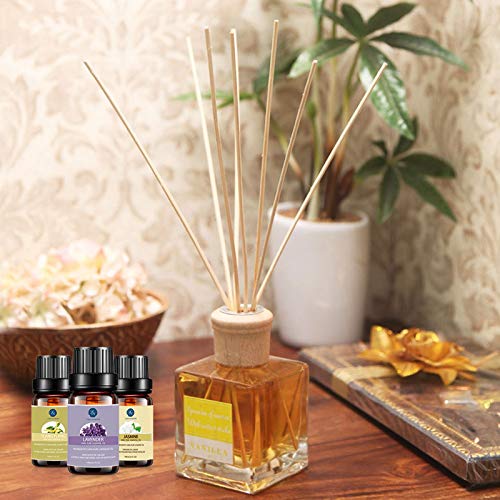 Lagunamoon Premium Essential Oils Set, 20 Pcs Pure Natural Aromatherapy Oils