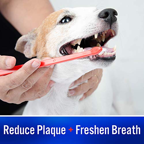 Virbac CET Enzymatic Toothpaste Eliminates Bad Breath by Removing Plaque and Tartar