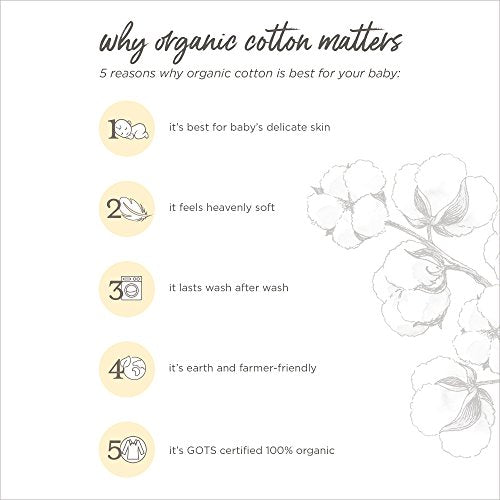 Burt's Bees Baby Unisex Baby Sleep & Play, Organic One-Piece Romper-Jumpsuit PJ, Zip