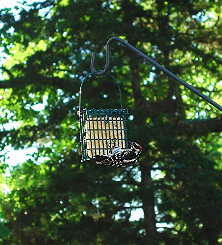 St. Albans Bay Suet Plus High Energy Suet Cakes, 20 Pack of 11 oz. Suet Cakes
