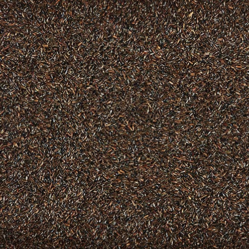 Kaytee Nyjer Thistle Seed, 3 lb