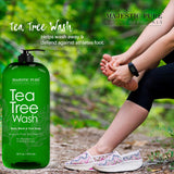 Majestic Pure Tea Tree Body Wash - Formulated to Combat Dry, Flaky Skin - Soothes, Nourishes and Moisturizes Irritated, Chapped, Problem Skin Areas - (Packaging may Vary) -16 fl. oz.