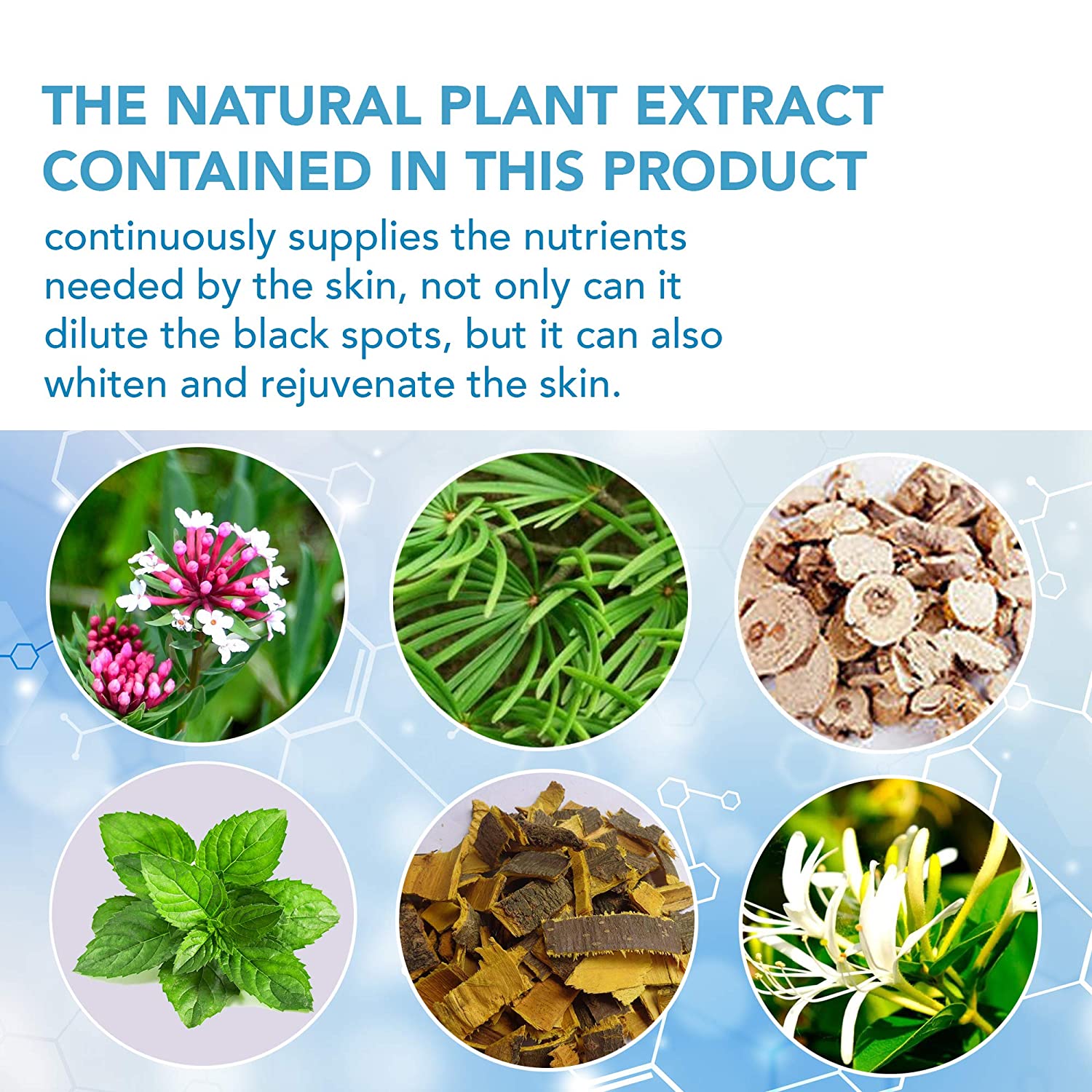 Skin Tag Remover Mole Remover- Mushroom Cookies Skin Tag Removal 2Pcs