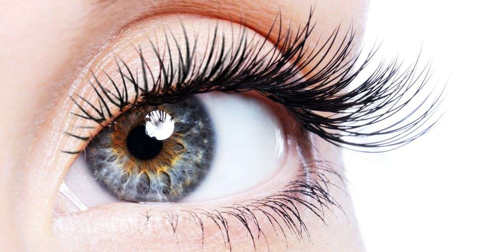 Choose only one: Which is better? Magnetic Lashes vs. Ordinary Lashes