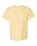 Comfort Colors Men's Adult Short Sleeve Tee, Style 1717