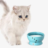 Y YHY Raised Cat Food and Water Bowl Set, Tilted Elevated Cat Food Bowls Anti