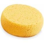 Round Hydro Sponge - 2 3/4" x 1"