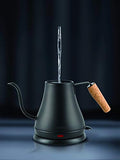 Bodum 11883-259US Melior Gooseneck Electric Water Kettle, 27 Ounces, Matte Black