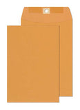 Clasp Envelopes - 6x9 Inch Brown Kraft Catalog Envelopes with Clasp Closure