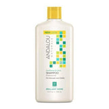 Andalou Naturals Shampoo Shine Snflwr Ctrs, Pack of 3