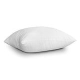 EDOW Throw Pillow Inserts, Set of 2 Lightweight Down Alternative Polyester Pillow