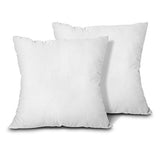 EDOW Throw Pillow Inserts, Set of 2 Lightweight Down Alternative Polyester Pillow