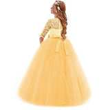 Flower Girls Pageant Ball Gowns Kids Chiffon Embroidered Tulle Wedding Party