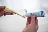 Dr. Brown's Infant-to-Toddler Toothbrush set