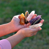 Healing Crystal Wand Set of 6 Orgonite – Includes 3” Amethyst Crystal, Tigers Eye