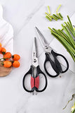 Kitchen Scissors - Heavy Duty Utility Come Apart Kitchen Shears for Chicken, Meat