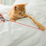 Inscape Data Interactive Cat Wand Toys,Cat Toys for Indoor Cats,Stainless Steel(1 Pack)