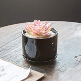 Plant Pots, Flower Pots Planters with Connected Saucer, Round Modern Decorative