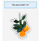 Fruit of the Spirit Christian sticker for a hydro flask, laptop, water bottle | Waterproof