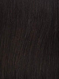 Freetress Equal Synthetic Lace & Lace Front Wig - CRUSH S (2 Dark Brown)