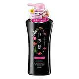 KRACIE Ichikami Conditioner Pump