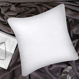 Utopia Bedding Throw Pillows Insert (Pack of 2, White) - 12 x 12 Inches Bed and Couch