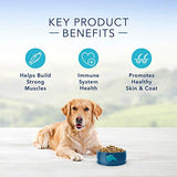 Blue Buffalo Life Protection Formula Adult Dog Food , Natural Dry Dog Food