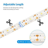 Blue Led Strip Lights Waterproof Battery Operated with Remote, 8 Modes, Dimmable