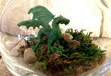 1 Inch Pet Dragon Green with Adoption Certificate
