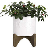 White Ceramic Plant Pot with Stand - 6.3 Inch Crescent Moon Embossed Cylinder White