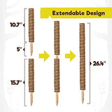 Totem Monkey Moss Pole - 26.4 Inch Coir Totem Plant Support - 2 Coco Sticks