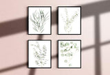 Botanical Plant Wall Art Prints - Set of 4 Plant Wall Decor Pictures Minimalist Wall Art