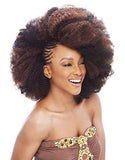 6 Pack of Janet Collection Synthetic Hair Braids Noir Afro Kinky Bulk 24" (2)