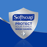 Softsoap Antibacterial Liquid Hand Soap, Fresh Citrus - 11.25 Fluid Ounce (6 Pack)