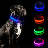 Tekkery Light Up Dog Collar, Glowing Pet Dog Collar for Night Safety with USB