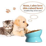 Y YHY Raised Cat Food and Water Bowl Set, Tilted Elevated Cat Food Bowls Anti