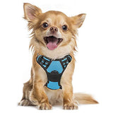 rabbitgoo Dog Harness, No-Pull Pet Harness with 2 Leash Clips, Adjustable Soft Padded