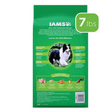 IAMS PROACTIVE HEALTH Adult Minichunks Small Kibble High Protein Dry Dog Food