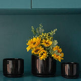 Plant Pots, Flower Pots Planters with Connected Saucer, Round Modern Decorative