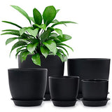 Plastic Planter, HOMENOTE 7/6/5.5/4.5/3.5 Inch Flower Pot Indoor Modern Decorative