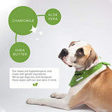 Earth Rated Dog Wipes, 100 Plant-Based and Compostable Wipes for Dogs